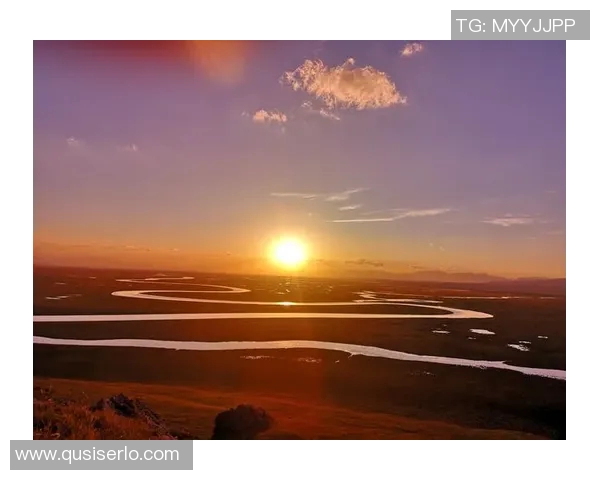 足球明星画像框全景展示让你领略足坛巨星风采与魅力